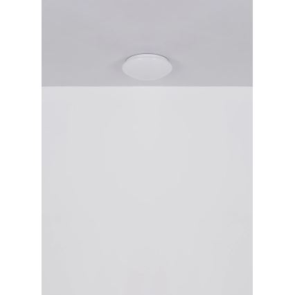 Globo - LED Stropní svítidlo LED/12W/230V 4000K pr. 25,4 cm