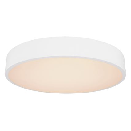 Globo - LED Stmívatelné stropní svítidlo LED/24W/230V 3000-6000K + dálkové ovládání