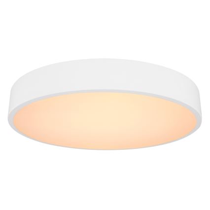 Globo - LED Stmívatelné stropní svítidlo LED/24W/230V 3000-6000K + dálkové ovládání