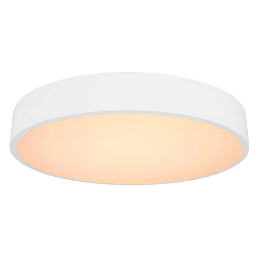 Globo - LED Stmívatelné stropní svítidlo LED/24W/230V 3000-6000K + dálkové ovládání