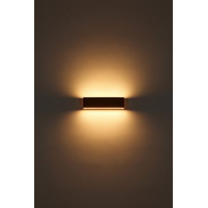 Globo - LED Nástěnné svítidlo LED/12W/230V