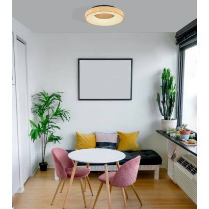 Globo - LED Stmívatelné stropní svítidlo LED/30W/230V + dálkové ovládání