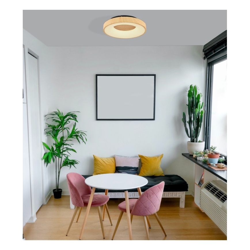 Globo - LED Stmívatelné stropní svítidlo LED/30W/230V + dálkové ovládání