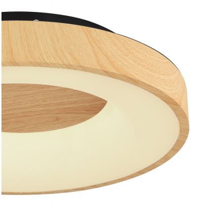 Globo - LED Stmívatelné stropní svítidlo LED/30W/230V + dálkové ovládání