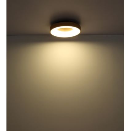 Globo - LED Stmívatelné stropní svítidlo LED/30W/230V + dálkové ovládání