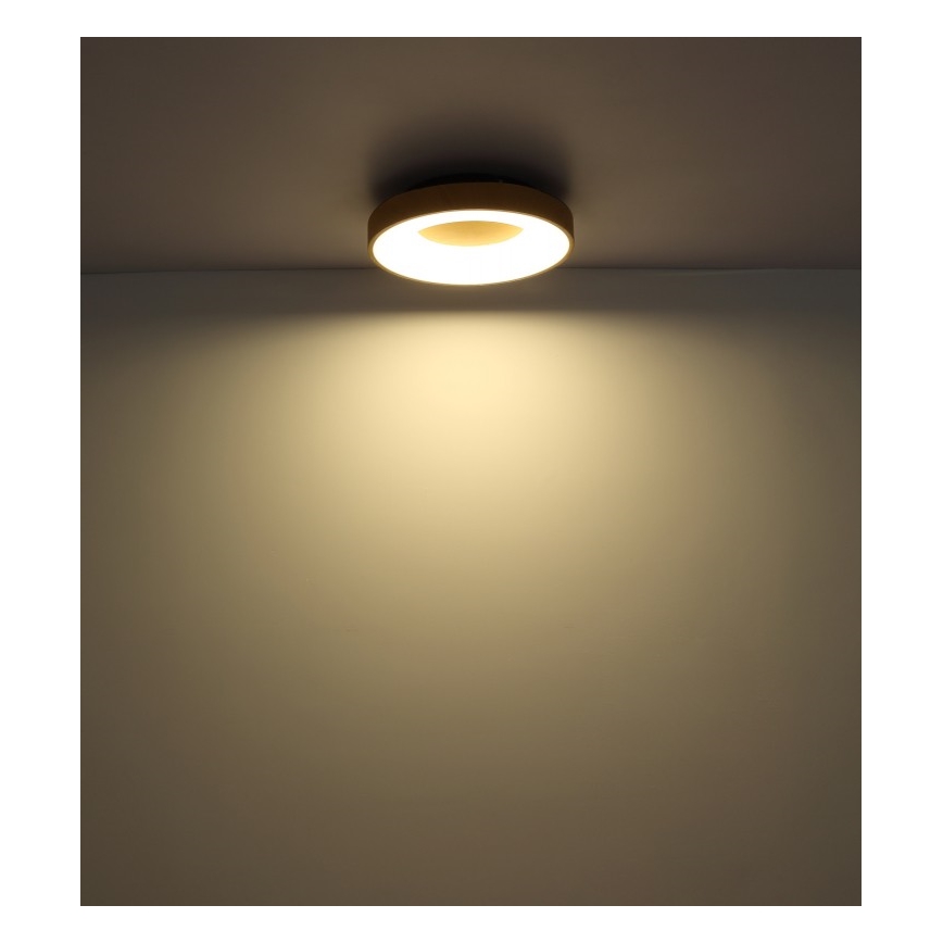 Globo - LED Stmívatelné stropní svítidlo LED/30W/230V + dálkové ovládání