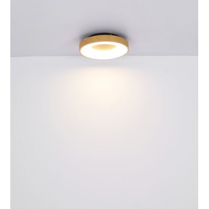Globo - LED Stmívatelné stropní svítidlo LED/30W/230V + dálkové ovládání