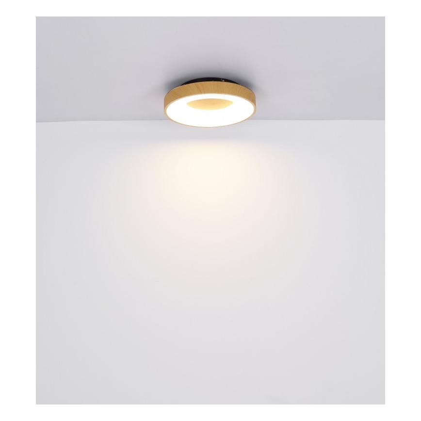 Globo - LED Stmívatelné stropní svítidlo LED/30W/230V + dálkové ovládání