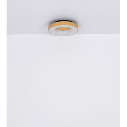 Globo - LED Stmívatelné stropní svítidlo LED/30W/230V + dálkové ovládání