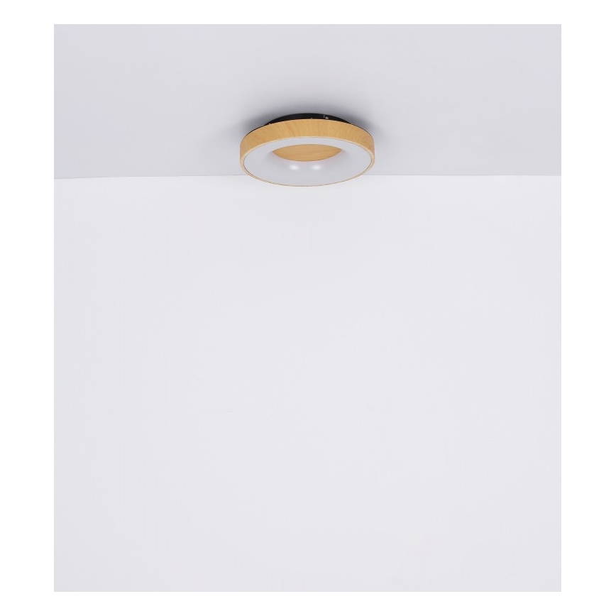 Globo - LED Stmívatelné stropní svítidlo LED/30W/230V + dálkové ovládání