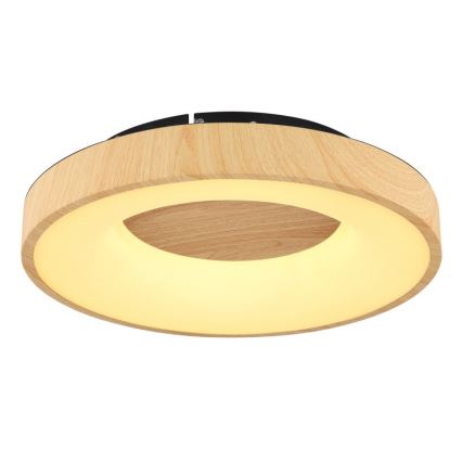 Globo - LED Stmívatelné stropní svítidlo LED/30W/230V + dálkové ovládání
