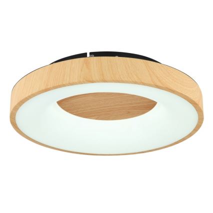 Globo - LED Stmívatelné stropní svítidlo LED/30W/230V + dálkové ovládání