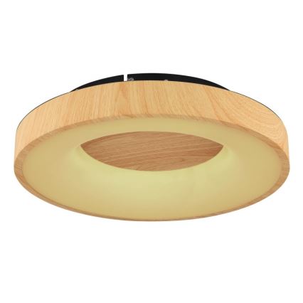 Globo - LED Stmívatelné stropní svítidlo LED/30W/230V + dálkové ovládání