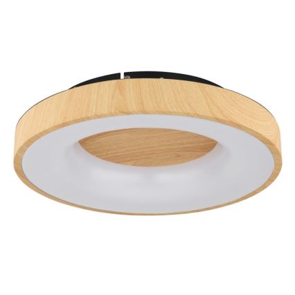 Globo - LED Stmívatelné stropní svítidlo LED/30W/230V + dálkové ovládání