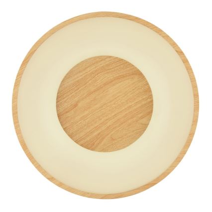 Globo - LED Stmívatelné stropní svítidlo LED/30W/230V + dálkové ovládání