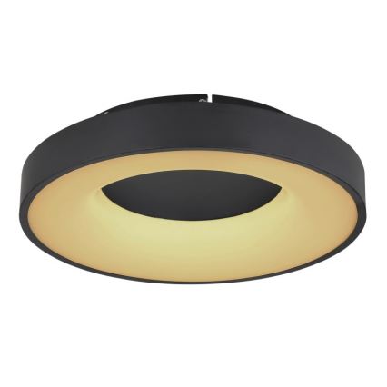 Globo - LED Stmívatelné stropní svítidlo LED/30W/230V 2700-6000K + dálkové ovládání