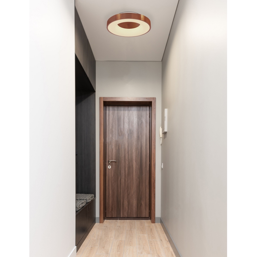 Globo - LED Stmívatelné stropní svítidlo LED/30W/230V 2700-6000K + dálkové ovládání