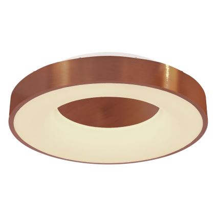 Globo - LED Stmívatelné stropní svítidlo LED/30W/230V 2700-6000K + dálkové ovládání