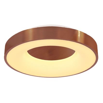 Globo - LED Stmívatelné stropní svítidlo LED/30W/230V 2700-6000K + dálkové ovládání