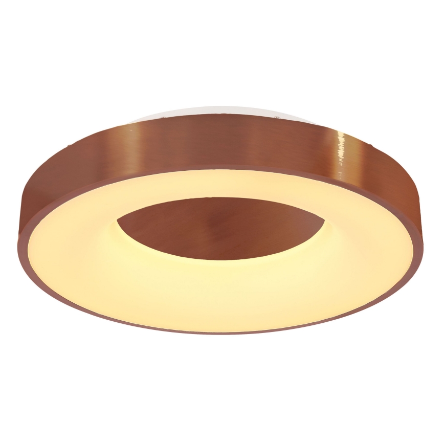 Globo - LED Stmívatelné stropní svítidlo LED/30W/230V 2700-6000K + dálkové ovládání