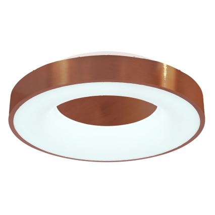 Globo - LED Stmívatelné stropní svítidlo LED/30W/230V 2700-6000K + dálkové ovládání