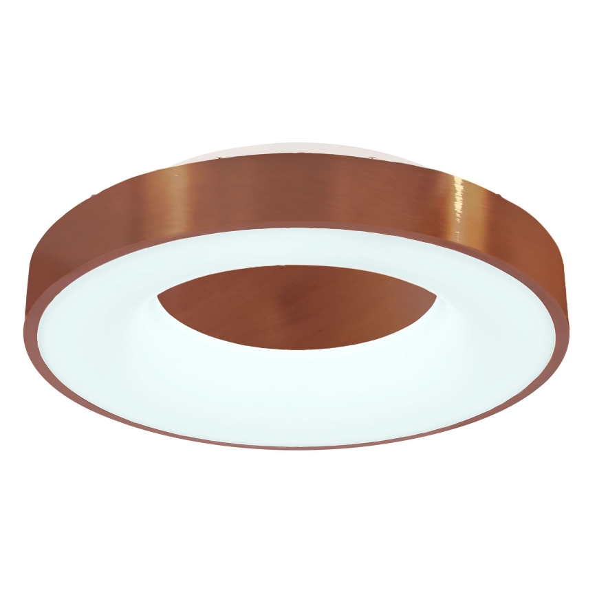 Globo - LED Stmívatelné stropní svítidlo LED/30W/230V 2700-6000K + dálkové ovládání