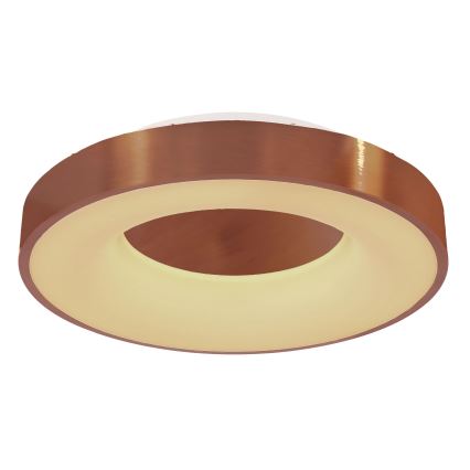 Globo - LED Stmívatelné stropní svítidlo LED/30W/230V 2700-6000K + dálkové ovládání