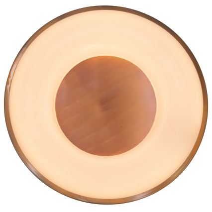 Globo - LED Stmívatelné stropní svítidlo LED/30W/230V 2700-6000K + dálkové ovládání