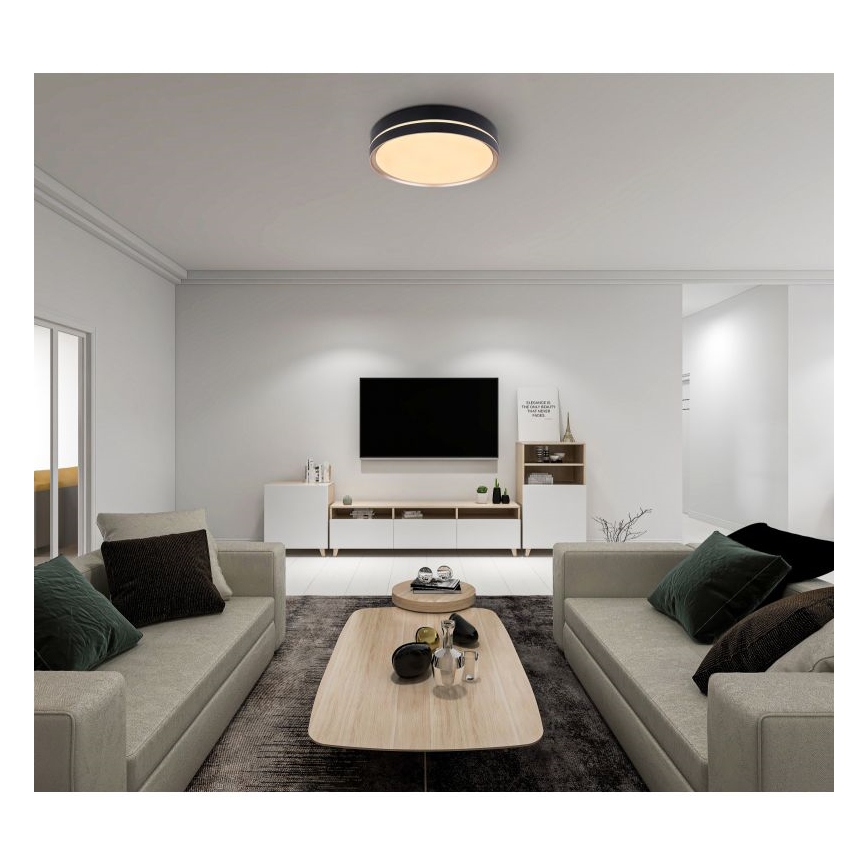 Globo - LED Stmívatelné stropní svítidlo LED/24W/230V + dálkové ovládání