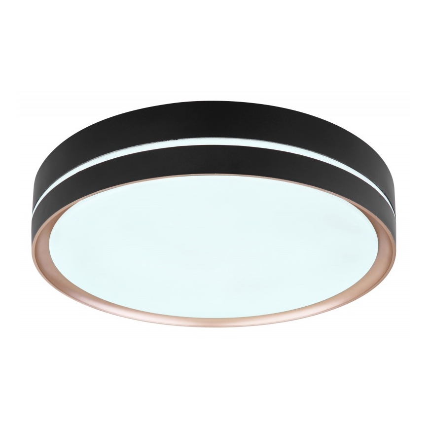 Globo - LED Stmívatelné stropní svítidlo LED/24W/230V + dálkové ovládání