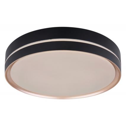 Globo - LED Stmívatelné stropní svítidlo LED/24W/230V + dálkové ovládání