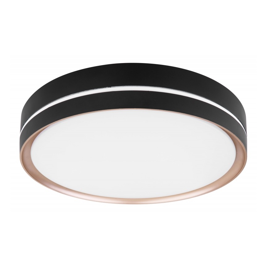 Globo - LED Stmívatelné stropní svítidlo LED/24W/230V + dálkové ovládání