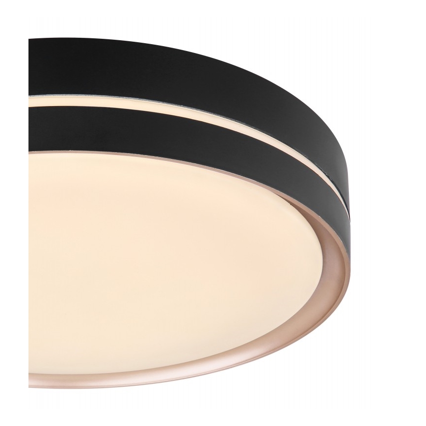 Globo - LED Stmívatelné stropní svítidlo LED/24W/230V + dálkové ovládání