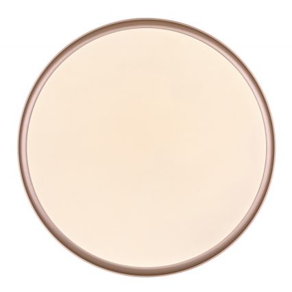 Globo - LED Stmívatelné stropní svítidlo LED/40W/230V 2700-6500K + dálkové ovládání