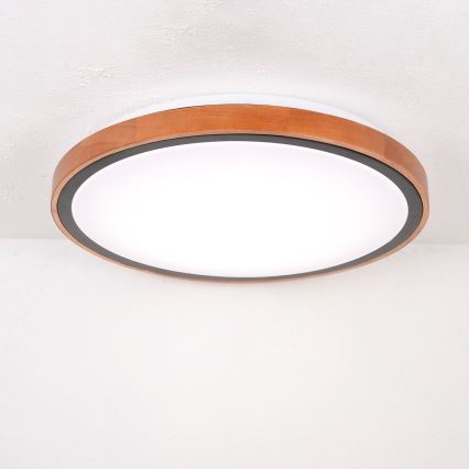 Globo - LED Stropní svítidlo LED/24W/230V 3000/4500/6000K pr. 43,7 cm