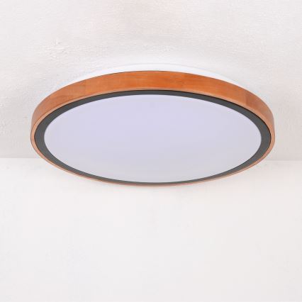 Globo - LED Stropní svítidlo LED/24W/230V 3000/4500/6000K pr. 43,7 cm