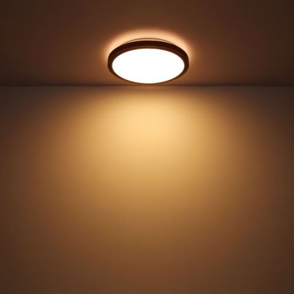 Globo - LED Stropní svítidlo LED/24W/230V 3000/4500/6000K pr. 43,7 cm