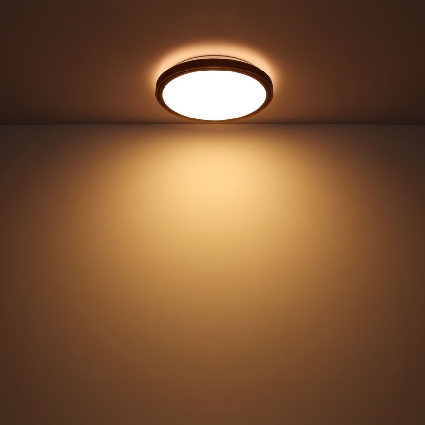 Globo - LED Stropní svítidlo LED/24W/230V 3000/4500/6000K pr. 43,7 cm