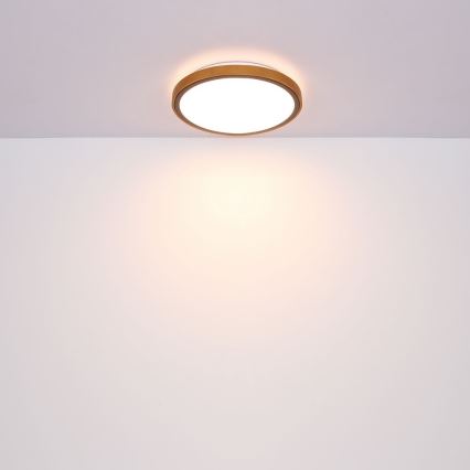 Globo - LED Stropní svítidlo LED/24W/230V 3000/4500/6000K pr. 43,7 cm