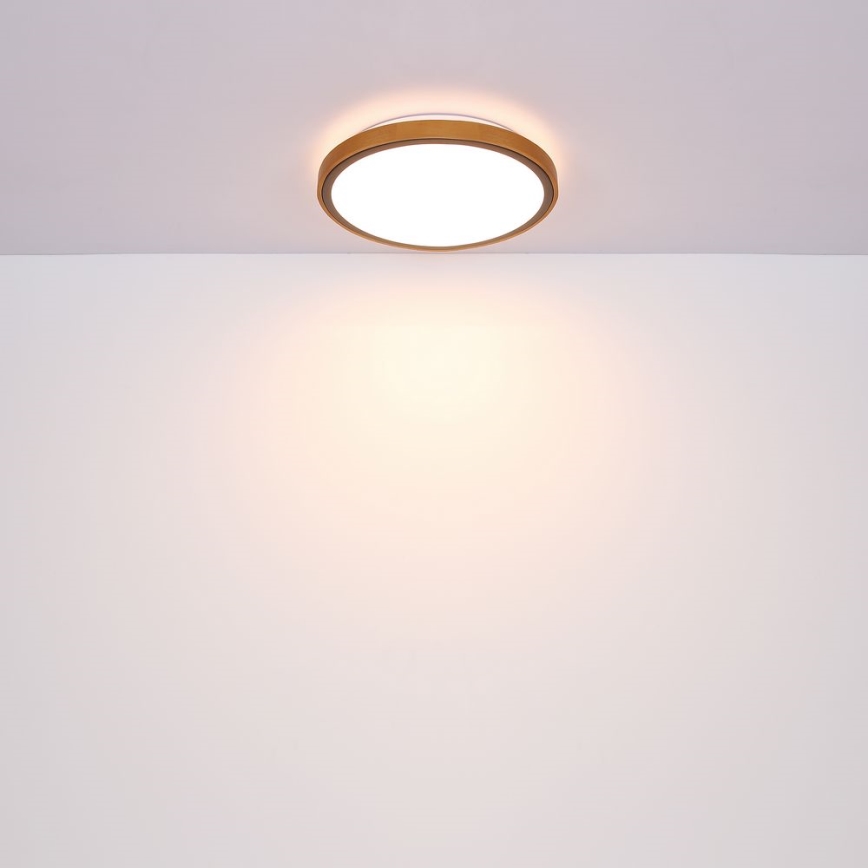 Globo - LED Stropní svítidlo LED/24W/230V 3000/4500/6000K pr. 43,7 cm