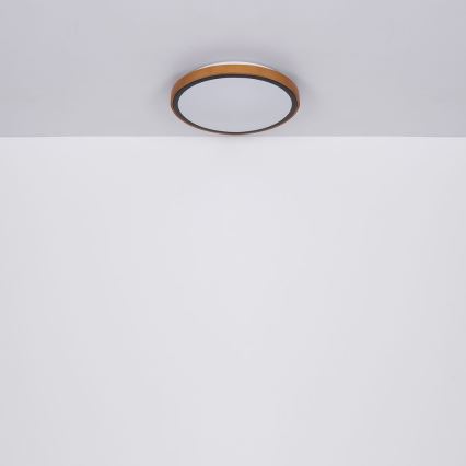 Globo - LED Stropní svítidlo LED/24W/230V 3000/4500/6000K pr. 43,7 cm