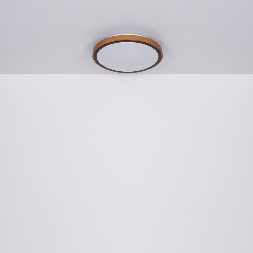 Globo - LED Stropní svítidlo LED/24W/230V 3000/4500/6000K pr. 43,7 cm