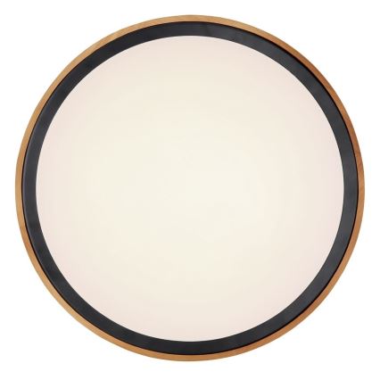 Globo - LED Stropní svítidlo LED/24W/230V 3000/4500/6000K pr. 43,7 cm
