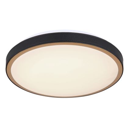 Globo - LED Stropní svítidlo LED/12W/230V 3000/4500/6000K pr. 30 cm