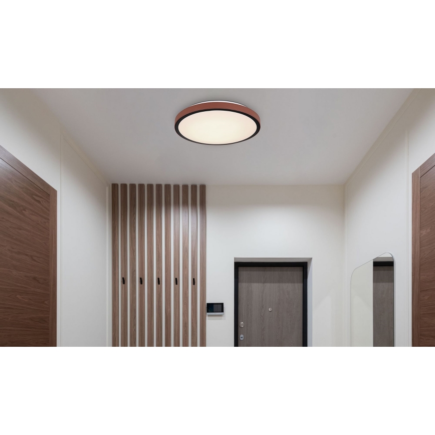 Globo - LED Stropní svítidlo LED/24W/230V 3000/4500/6000K pr. 42 cm