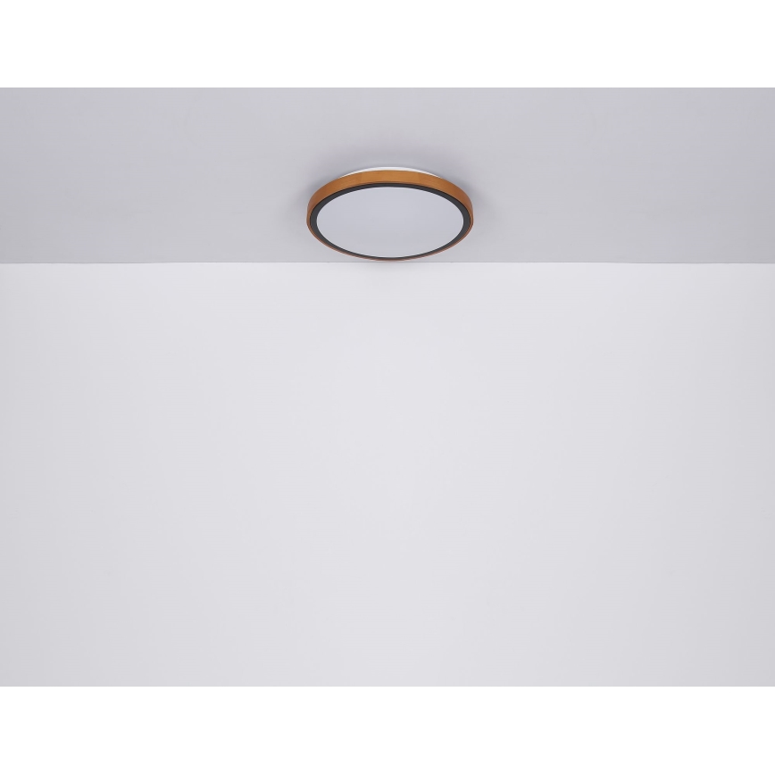 Globo - LED Stropní svítidlo LED/24W/230V 3000/4500/6000K pr. 42 cm