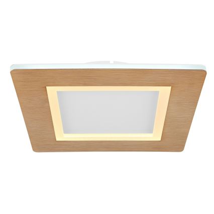 Globo - LED Stropní svítidlo LED/23W/230V 2700/6500K