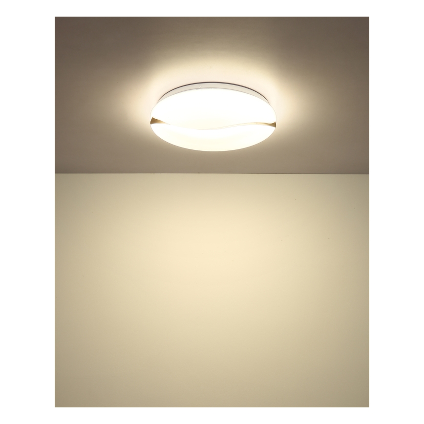 Globo - LED Stropní svítidlo LED/24W/230V 3000/4200/6000K pr. 33 cm