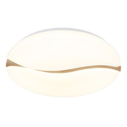 Globo - LED Stropní svítidlo LED/24W/230V 3000/4200/6000K pr. 33 cm