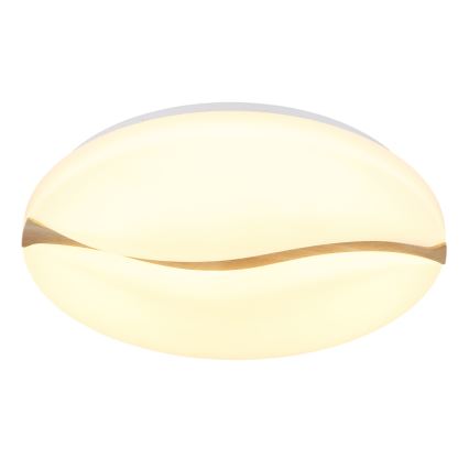 Globo - LED Stropní svítidlo LED/24W/230V 3000/4200/6000K pr. 33 cm